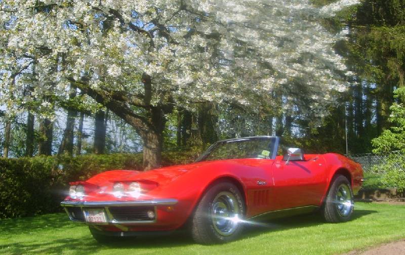 MARTINSRANCH Corvette 69 -05.08.F 